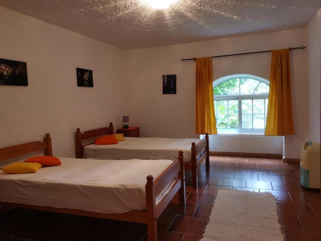 Casa Do Pedro E Da Marina Guest House Lomba  Eksteriør bilde